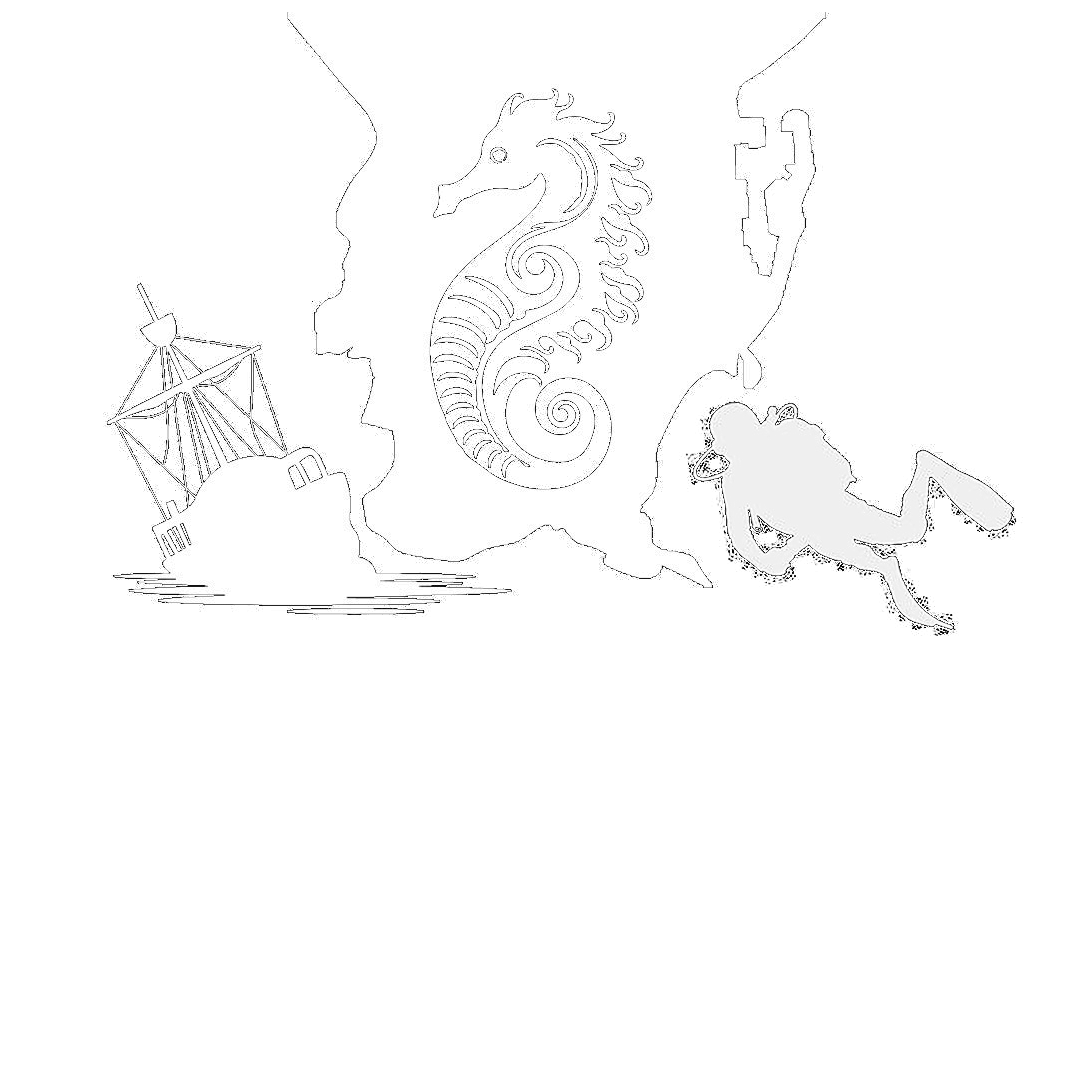 Buceo NextGen